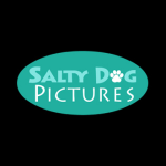 Salty Dog Pictures